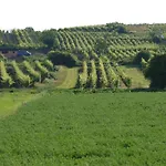 Pensión Kratochvíl Dolní Dunajovice