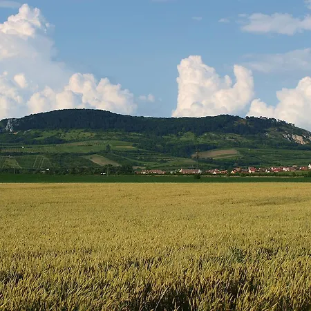 Pensjonat Kratochvil Dolne Dunajovice