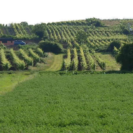 Pensjonat Kratochvil Dolne Dunajovice
