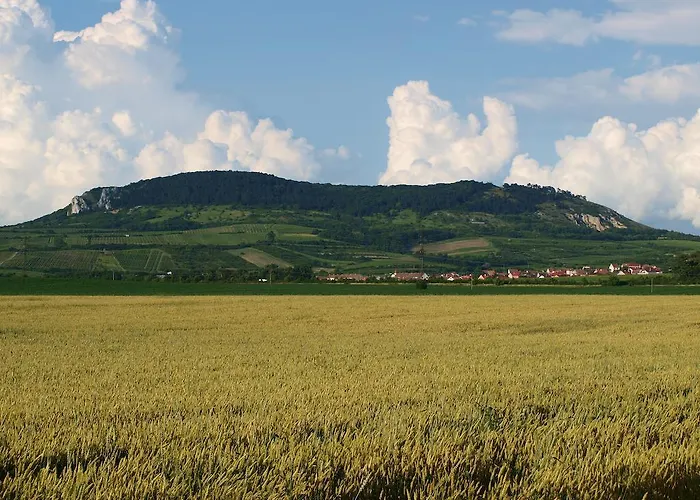Pensjonat Kratochvil Dolne Dunajovice