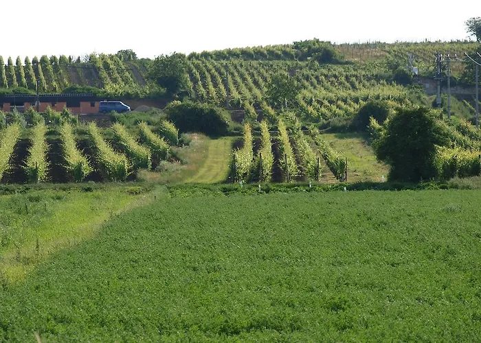 Affittacamere Kratochvíl Dolní Dunajovice